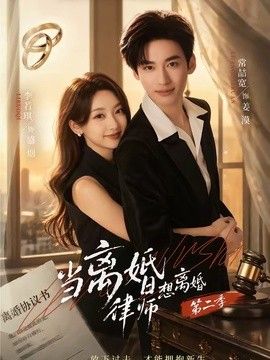 当离婚律师想离婚第二季